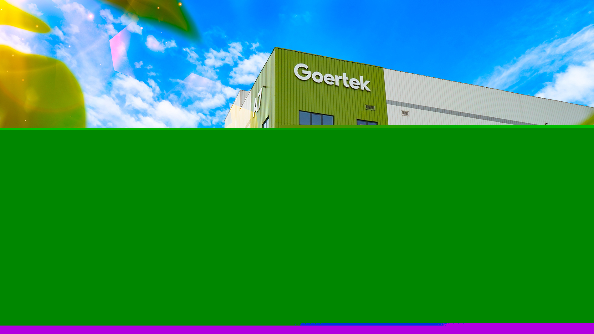 Goertek