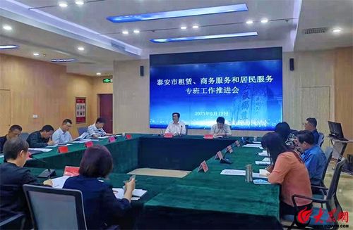 泰安市租賃、商務(wù)服務(wù)和居民服務(wù)專班工作推進(jìn)會召開 聚焦軟件開發(fā)與應(yīng)用